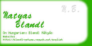 matyas blandl business card